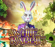 White Rabbit